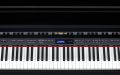 ROLAND LX-15-EPE